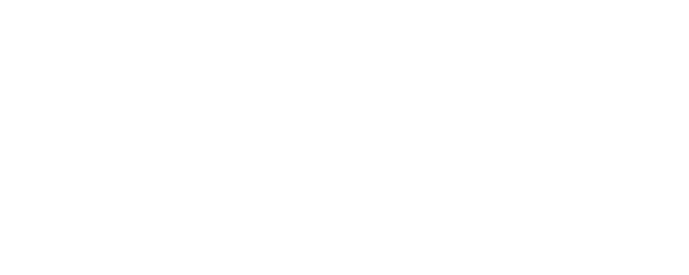 PALMWALD LLC